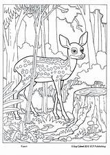 Coloring Pages Animal Animals Forest Deer Fawn Sheets Adult Wildlife Kids Book Books Camouflage Woodland Print Choose Board Wild Elk sketch template