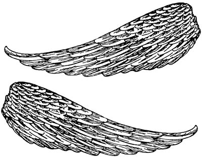 printable angel wings   printable angel wings png