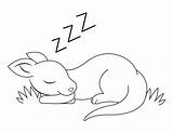 Kangaroo Napping sketch template