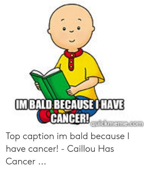 🔥 25 Best Memes About Caillou Has Caillou Has Memes