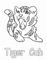 Coloring Cub Tiger Pages Scout Drawing Bear Printable Head Little Vector Boys Logo Getcolorings Roaring Metaphysical Getdrawings Print Choose Board sketch template