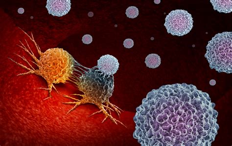 elegant chemo israeli scientists edit genome  destroy cancer dna  times  israel