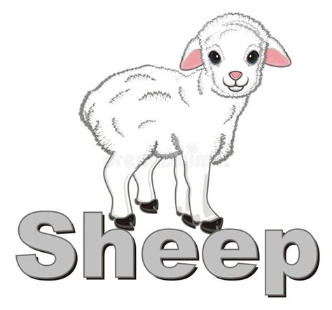 word sheep stock vector illustration  sketch dancing