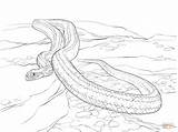 Snake Coloring Pages Rat Yellow Print Supercoloring Drawing Snakes Printable Reptiles Sheets sketch template