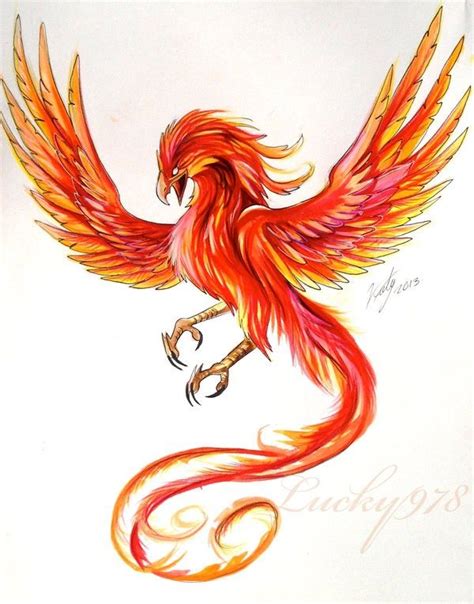 phoenix design phoenix tattoo design raven tattoo tattoo  body