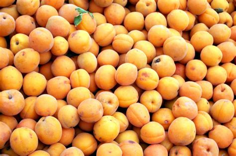 fresh apricots  stock photo public domain pictures