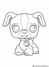 Petshop Littlest Coloring Pages Dog Browser Ok Internet Change Case Will sketch template