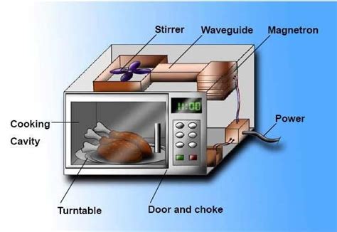 basic structure   microwave oven  scientific diagram