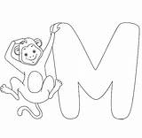 Alphabet Englisches Tieren Ausmalbilder Buchstabe Löwe Affe sketch template