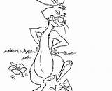 Pooh Rabbit Winnie Coloring Fun Kids sketch template