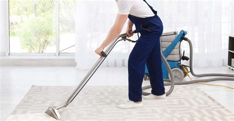superb advantages   professionals clean  carpet  decorative