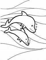 Dolphins Dofins Delfines Raskrasil Coloringhome sketch template