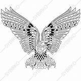 Zentangle Aquila Stilizzato Stylized Antistress Owl Adler Alfabeto Illustrazione Tatuagem Illustrazioni Vendido Produto sketch template