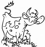 Kuh Tiere Malvorlage Malvorlagen Ausmalen Kostenlose sketch template