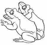 Template Mewarnai Katak Grenouille Colorat Rane Broaste Animaux Planse Frosch Broscute Doua Binatang Pemandangan Sfatulmamicilor Coloriages Fac Oac sketch template