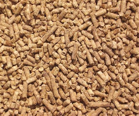 layer poultry feed manufacturer in guwahati assam india by