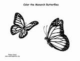 Monarch Coloring Butterfly Butterflies Pages Quality High Print sketch template