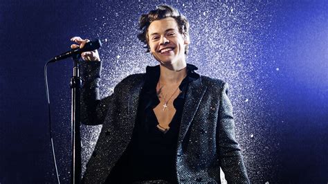 why you should go to a harry styles concert her campus