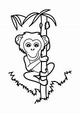 Coloring Pages Monkey Climbing Printable Tree Bamboo Chimpanzee Animals Animal Climb Coloring4free 2021 Sheets 1072 Color Rock Cartoon Panda Getcolorings sketch template