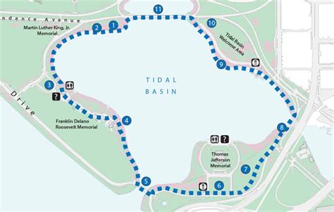 tidal basin loop trail cherry blossom festival  national park service