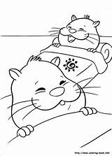 Coloring Pets Zhu Pages Book Hamster Info Coloriage Websincloud Activities sketch template