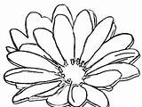 Coloring Pages Flower Daisy Flowers Georgia Keeffe Drawing Purple Wedding Girl Girls Printable Clip Clipart Color Template Simple Cliparts Scouts sketch template