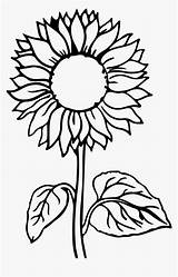 Vorlage Vorlagen Sticken Sonnenblume Kindpng Anleitungen Indiaparenting sketch template