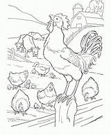 Bauernhof Tiere sketch template