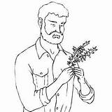 Man Coloring Pages Getcolorings Rosemary sketch template