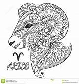 Aries Ariete Zodiac Zodiaco Segno Colorare Progettazione Elemento Dello Symbol Colorar sketch template