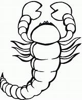 Scorpion Scorpione Disegno Kolorowanki Skorpion Colorare Skorpiony Coloriage Scorpions Dla Pobrania Coloriages Bestcoloringpagesforkids sketch template