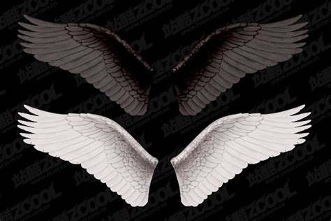 white wings  black wings layered   psd  photoshop psd psd file format format