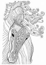 Coloring Horse Pages Zentangle Head Template sketch template