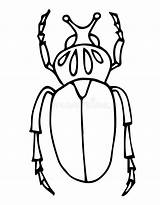Beetle Doodle Colorazione Insect Scarabeo Bug Insetto Disegnata Contornare Collection sketch template