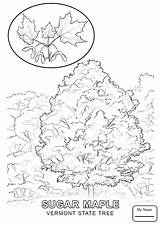 Vermont Coloring Pages Cultures Countries Getdrawings Getcolorings sketch template