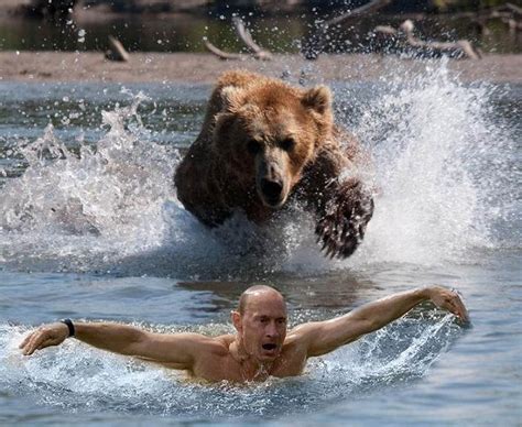 Vladimir Putin S Funniest Memes Weird Pictures And Photo Galleries