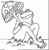Anfibi Frogs Rane Rana Animali Colorare Coloratutto Pilimpintando sketch template