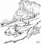 Coloring Pages Landscape Goats Mountain Adult Printable Adults Rocky Goat Mountains Scenery Realistic Coloring4free Detailed Landscapes Color Only Two Colouring sketch template