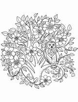 Coloring Owl Tree Pages Para Colorear Dibujos Dibujo Blooming Supercoloring Mandalas Imprimir Pdf Owls Printable Arboles Libro Desde Guardado Búho sketch template