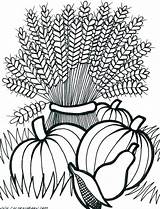 Coloring Pages Fall Harvest Printable Adult Autumn Adults Wheat Festival Thanksgiving Flowers Sheets Cornucopia Drawing Colouring Color Scenes Leaves Kids sketch template