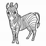 Zebra Coloring Pages Cartoon Printable Face Getdrawings Drawing Zebras Getcolorings sketch template