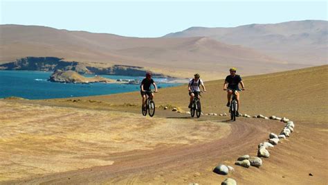 adventure bicycle    paracas national reserve