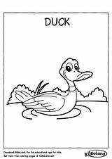Duck Coloring Kidloland Printable Worksheets sketch template