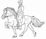 Icelandic Horse Deviantart Ms Miss Horses Drawing Colouring sketch template