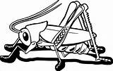 Coloring Insect Grasshopper Wecoloringpage Pages Coloringbay sketch template