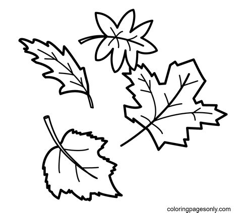 printable autumn leaves coloring page  printable coloring pages