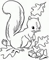 Coloring Pages Preschool Fall Autumn Color Season Squirrel Printable Popular Library sketch template