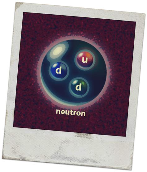 sunnivarose  facts  neutrons