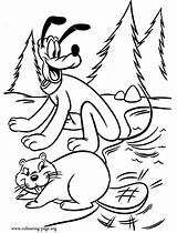 Mickey Desenhos Pluto Beaver Topolino Biber Micky Maus sketch template