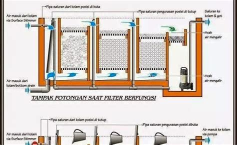 sistem filter kolam koi otosection